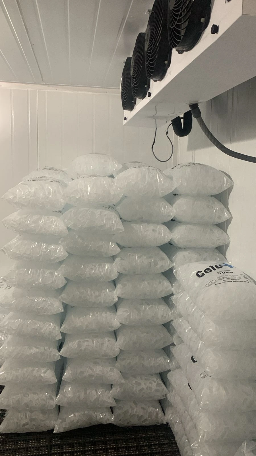 Pacotes de gelo em freezer